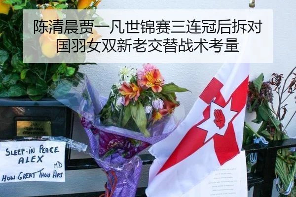 陈清晨贾一凡世锦赛三连冠后拆对 国羽女双新老交替战术考量