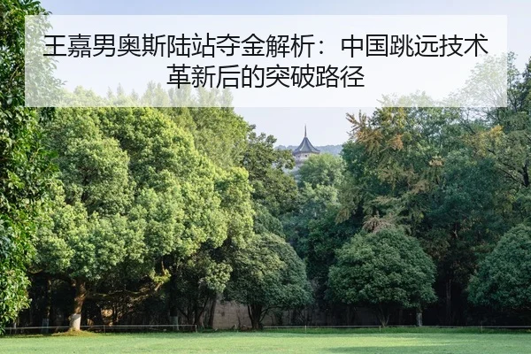 wang-jia-nan-ao-si-lu-zhan-duo-jin-jie-xi-zhong-guo-tiao-yuan-ji-shu-ge-xin-hou-de-tu-po-lu-jing-3-254.jpg